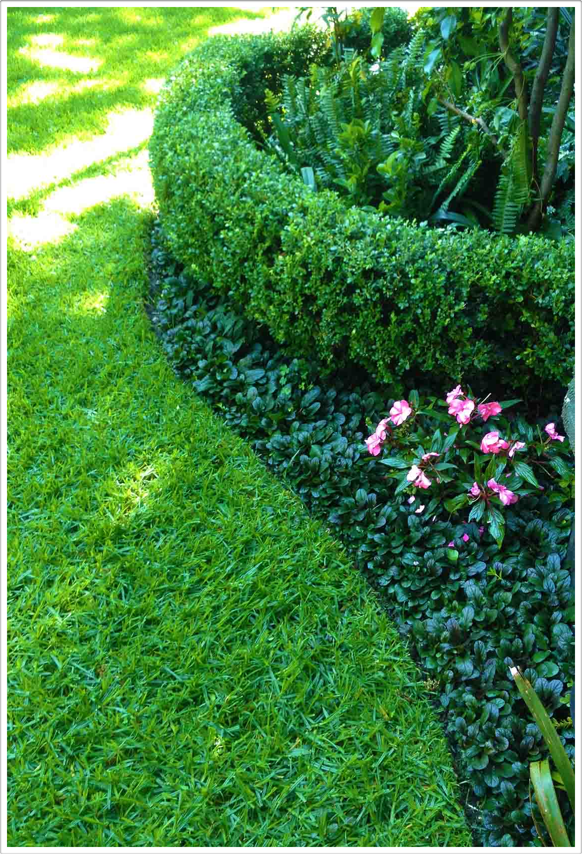 Naturalmente Naturaleza Natural